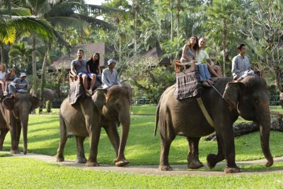 ツアーリスト画像